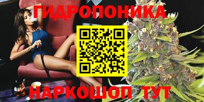 индика Ярославль