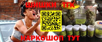 индика Ярославль