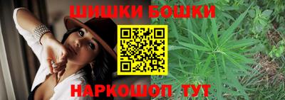 индика Ярославль