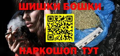 индика Ярославль