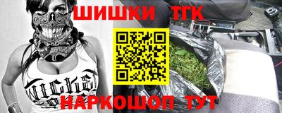 индика Ярославль
