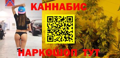 индика Ярославль